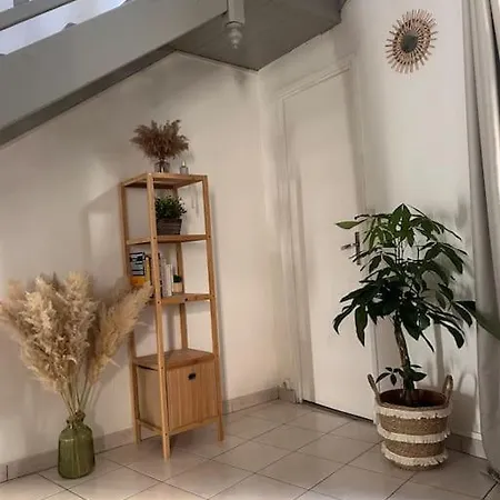 Mh - Chaleureuse Maison Scandinave * Nîmes